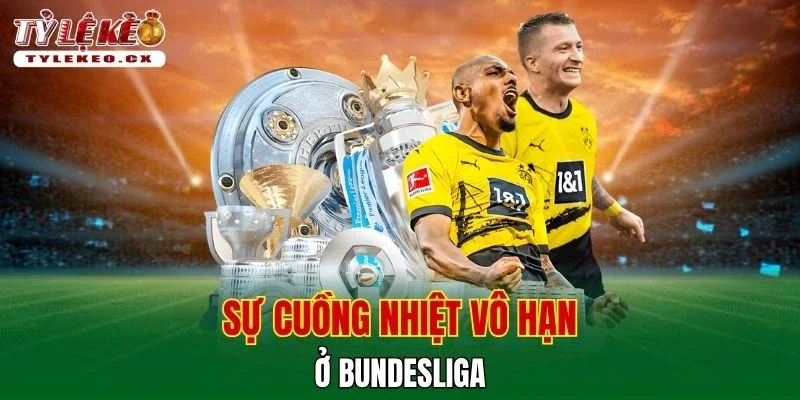 Tỷ Lệ Kèo 42 Sự cuồng nhiệt vô hạn ở Bundesliga
