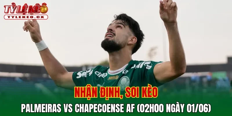 Soi kèo cuộc so tài Palmeiras vs Chapecoense AF