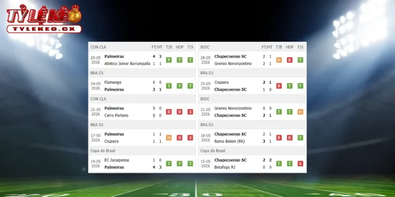 Thành tích thi đấu trước trận Palmeiras vs Chapecoense AF