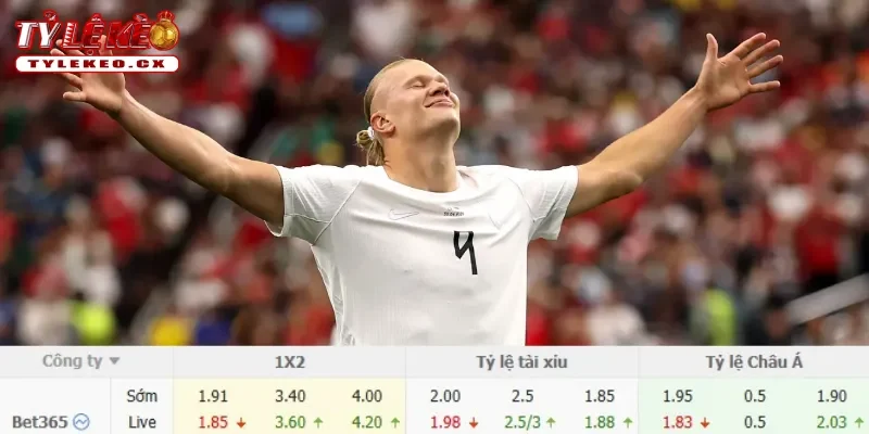Chi tiết kèo Brazil vs Na Uy
