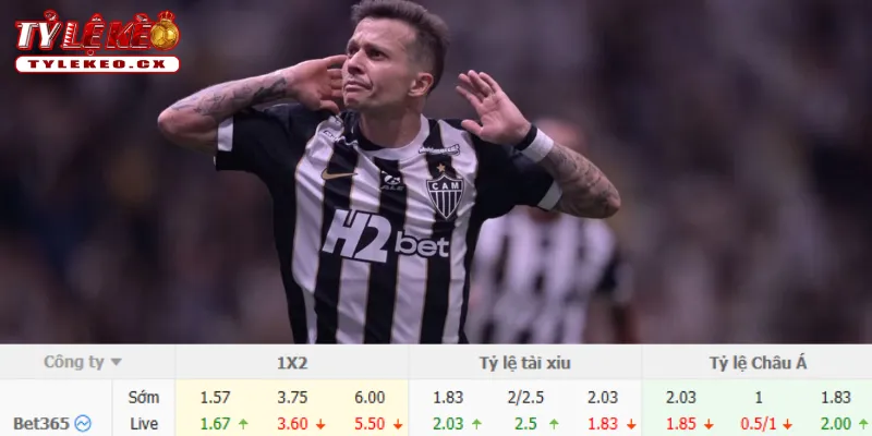 Chi tiết kèo Palmeiras vs Atletico Mineiro
