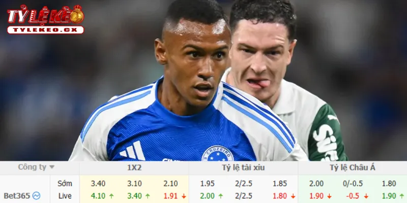 Soi Kèo Chapecoense vs Cruzeiro (04h30 ngày 03/08) Copa do Brazil 3 Chi tiết kèo Chapecoense vs Cruzeiro